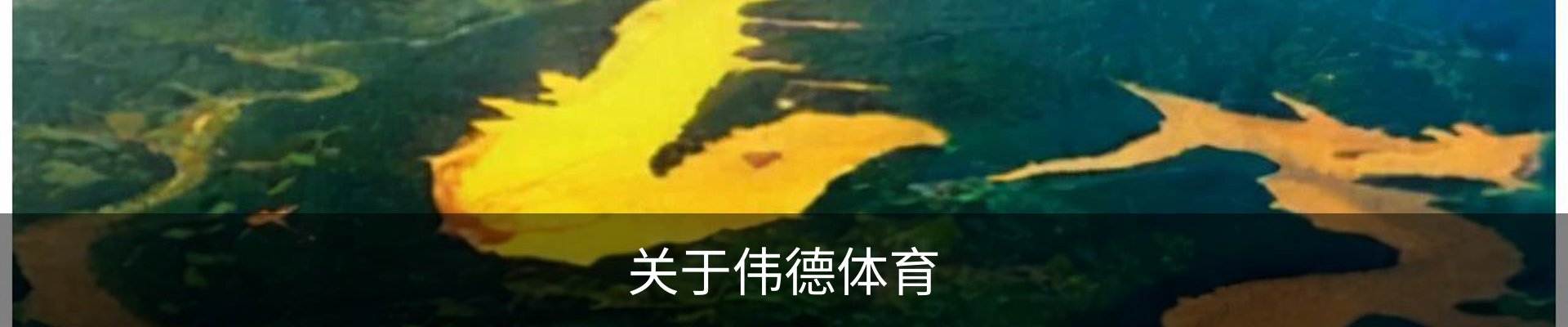 关于伟德体育